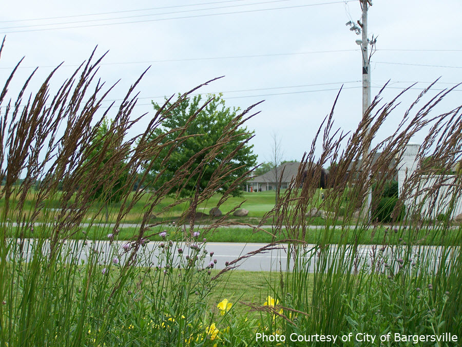 Photo of Wildlife and Natural Beauty Bargersville Indiana