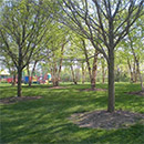 river-heritage-park-thumb