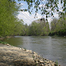 white-river-greenway-thumb