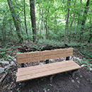 blanton-woods-danville-thumb