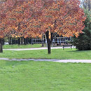 roy-g-holland-memorial-park-thumb