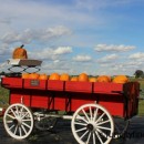 Stout's Melody Acres Farm