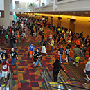 concentions and expositions thumb