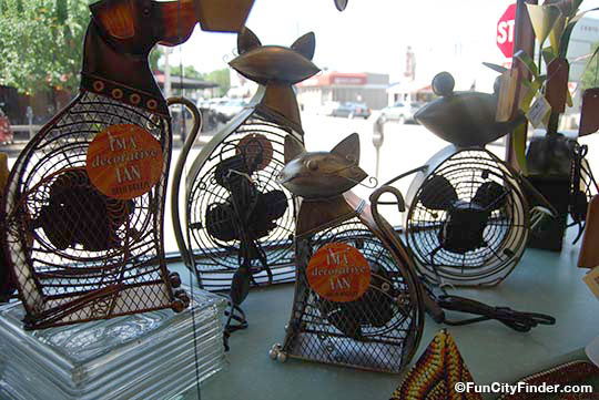 Picture of cute cat fans in the Chelsea's store front in Broad Ripple Village