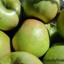 Anderson Orchard Mooresville