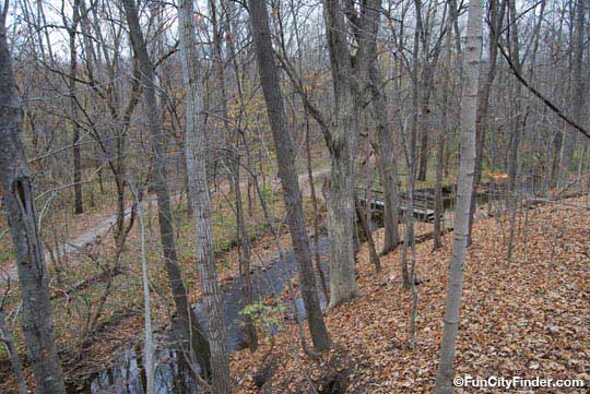 Photo of a trail and creek in Cool Creek Park in Westfield, Indiana