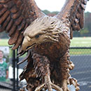 Zionsville Football Homecoming